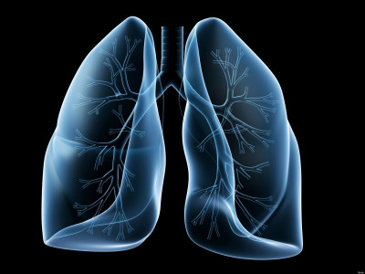 News Item 3 News Item 3